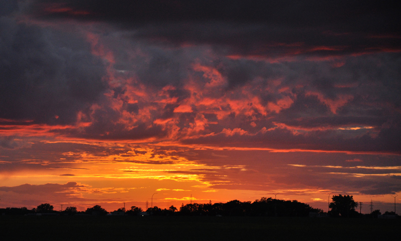 Summer Sunset by Cheryl Van Der Raadt